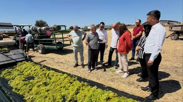 Şenol Sunat: Kuru üzüm alım fiyatı en az 150 TL olmalı — Fotoğraf 3