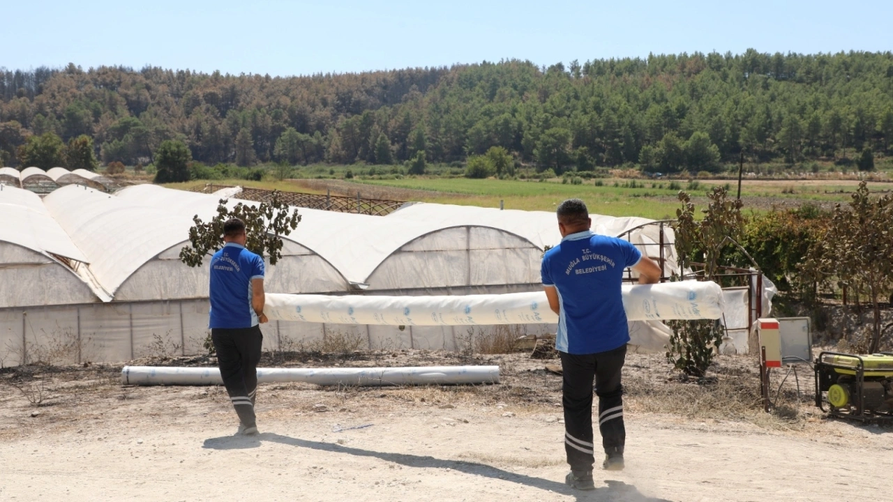 Seydikemer’de yangın mağduru üreticiye sera desteği