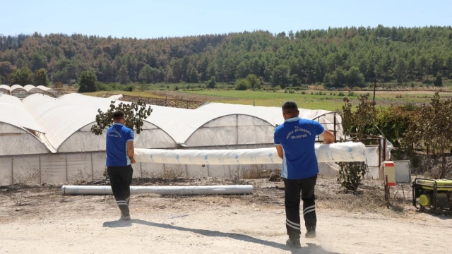 Seydikemer’de yangın mağduru üreticiye sera desteği