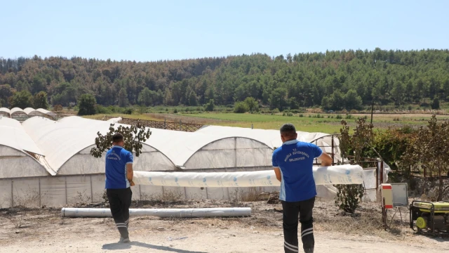 Seydikemer’de yangın mağduru üreticiye sera desteği — Fotoğraf 2