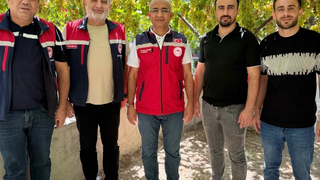 Siirt Valisi Kızılkaya: Tayfi üzümünde hedef ilk 5 — Fotoğraf 1