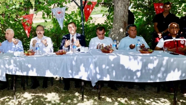 Siirt Valisi Kızılkaya: Tayfi üzümünde hedef ilk 5 — Fotoğraf 4