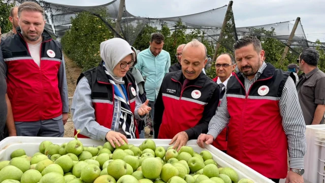 Susurluk’ta Elma Hasadı Gerçekleştirildi — Fotoğraf 3