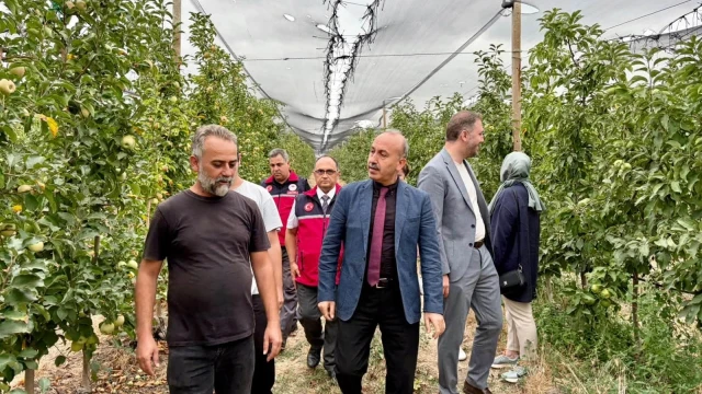 Susurluk’ta Elma Hasadı Gerçekleştirildi — Fotoğraf 4