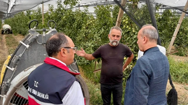 Susurluk’ta Elma Hasadı Gerçekleştirildi — Fotoğraf 13