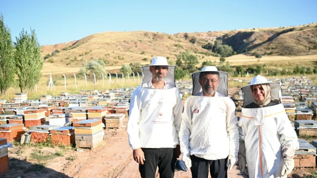 Tarım Bakanı Yumaklı: Türkiye bal üretiminde ikinci sırada
