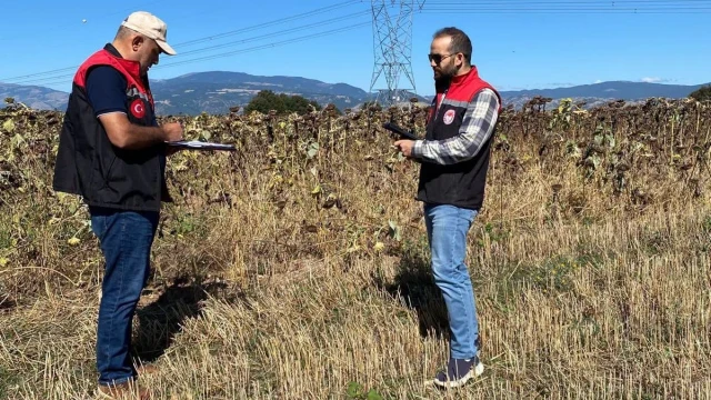 Taşova’da biçerdöver ve parsel kontrolleri sürüyor — Fotoğraf 2