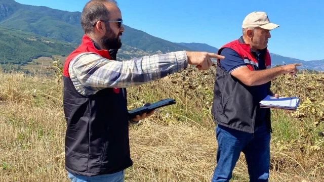Taşova’da biçerdöver ve parsel kontrolleri sürüyor — Fotoğraf 3