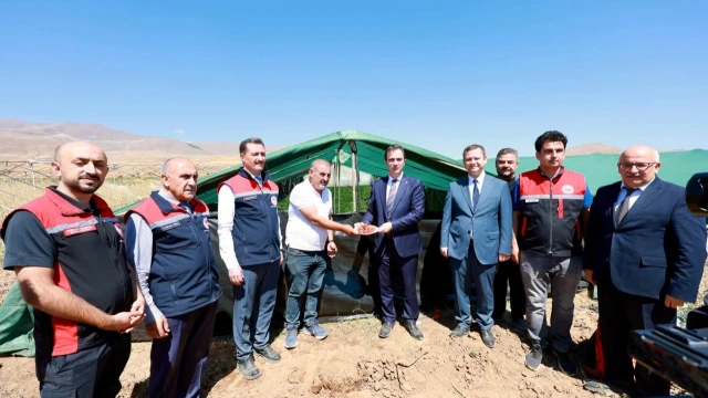 Tatvan’da domates hasadı başladı: Bitlis Türkiye 7’ncisi — Fotoğraf 8