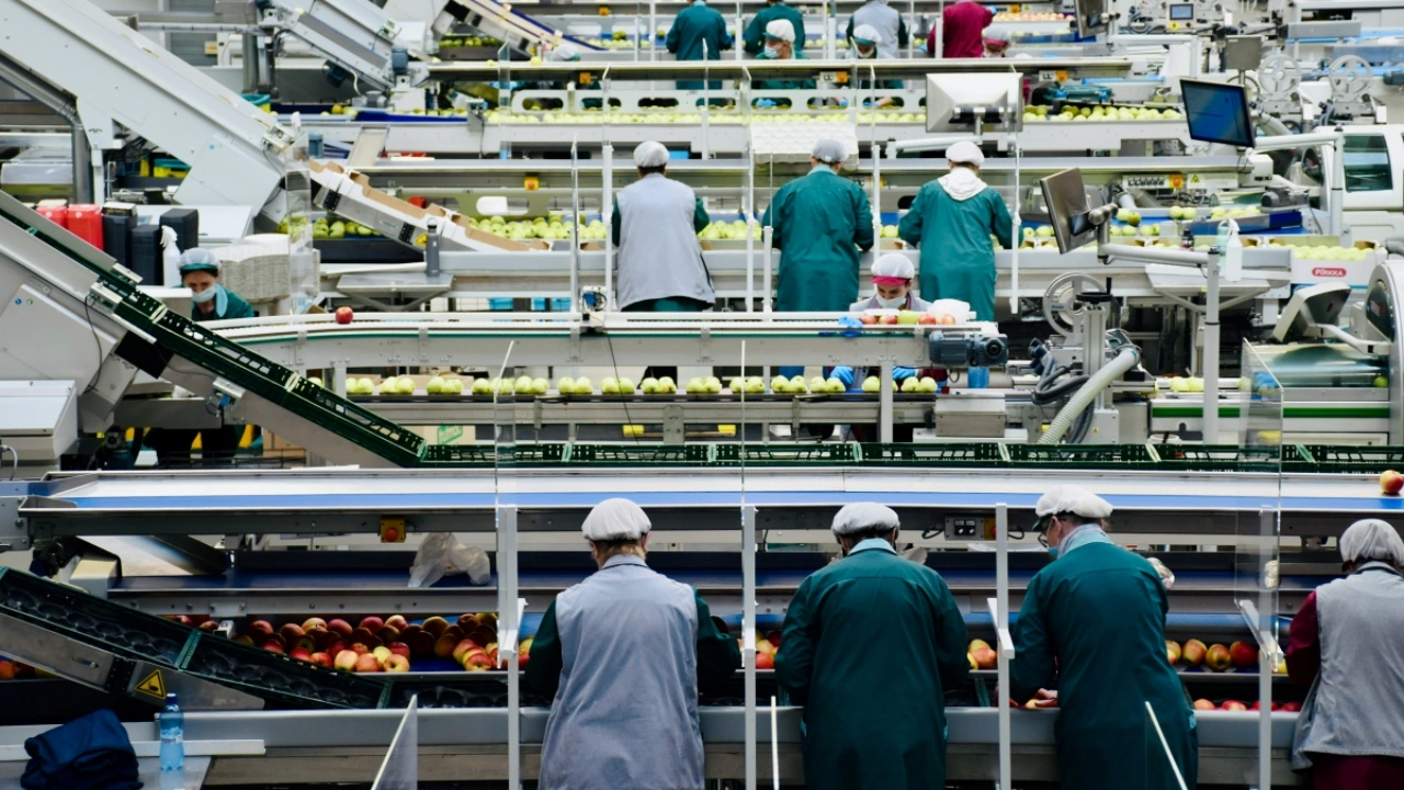 TÜGİS: Gıda sistemlerinde 2030 hedefleri geride kaldı