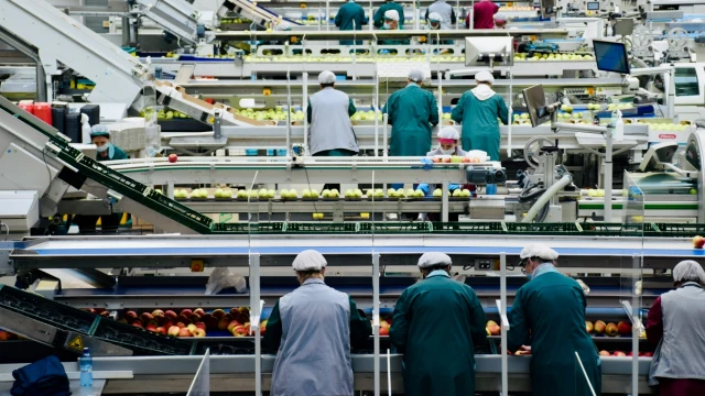 TÜGİS: Gıda sistemlerinde 2030 hedefleri geride kaldı