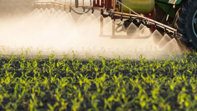 TÜİK: Tarım-ÜFE Ağustos’ta Yüzde 0,93 Geriledi