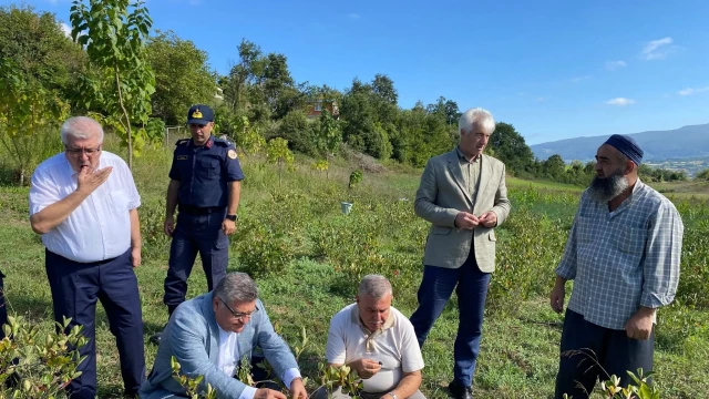 Vali Özarslan, Sinop'ta Kozcuğaz Köy Yaşam Merkezi'ni açtı — Fotoğraf 3