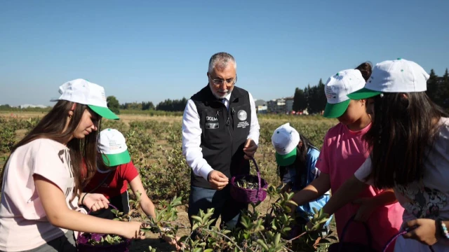 Vali Usta: Yalova aronyası uluslararası pazara açılacak — Fotoğraf 2