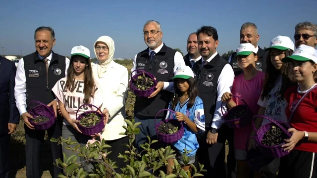 Vali Usta: Yalova aronyası uluslararası pazara açılacak — Fotoğraf 3