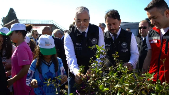 Vali Usta: Yalova aronyası uluslararası pazara açılacak — Fotoğraf 4