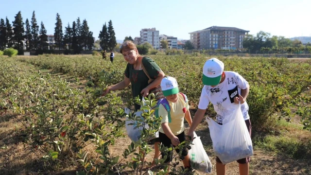 Vali Usta: Yalova aronyası uluslararası pazara açılacak — Fotoğraf 5