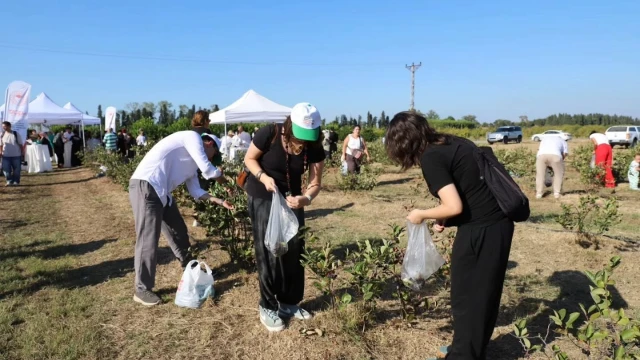 Vali Usta: Yalova aronyası uluslararası pazara açılacak — Fotoğraf 6