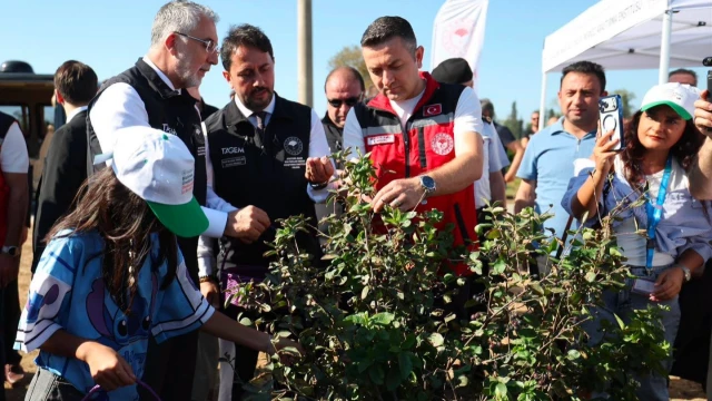Vali Usta: Yalova aronyası uluslararası pazara açılacak — Fotoğraf 7