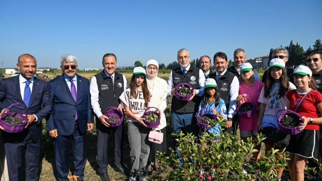 Vali Usta: Yalova aronyası uluslararası pazara açılacak — Fotoğraf 8