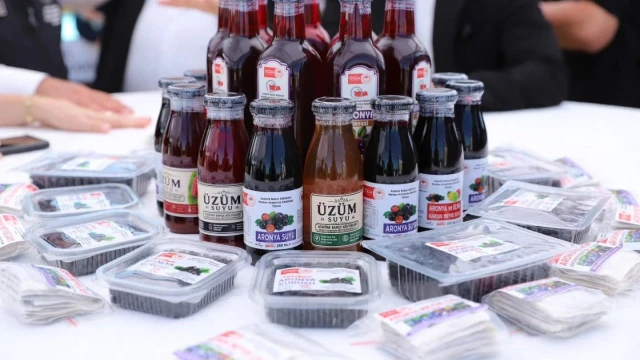 Vali Usta: Yalova aronyası uluslararası pazara açılacak — Fotoğraf 11