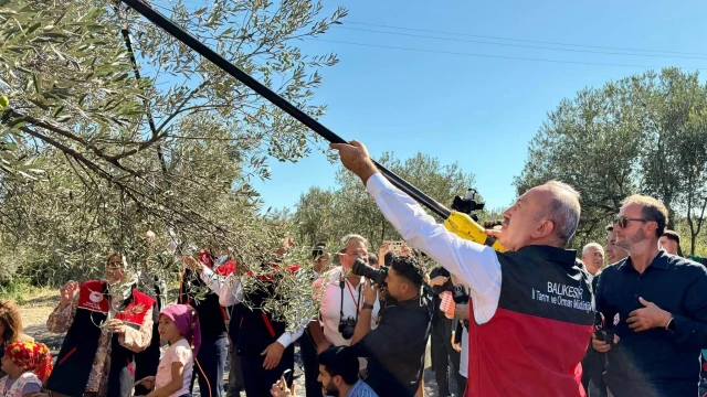 Vali Ustaoğlu: Zeytinyağı rekoltesi 40 bin tonu aşacak — Fotoğraf 2