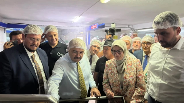 Vali Ustaoğlu: Zeytinyağı rekoltesi 40 bin tonu aşacak — Fotoğraf 5