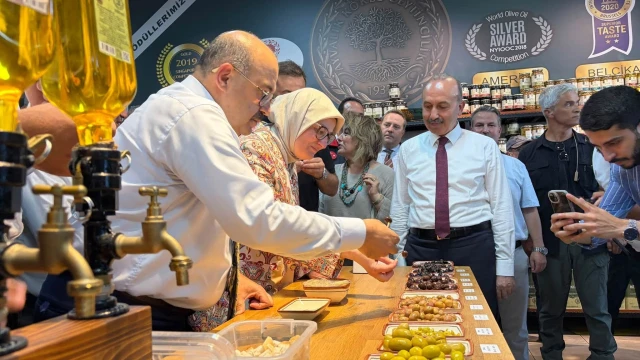 Vali Ustaoğlu: Zeytinyağı rekoltesi 40 bin tonu aşacak — Fotoğraf 14