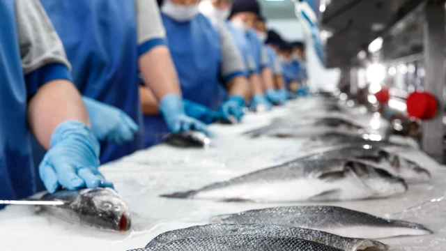 Yumaklı: Ağustosta IPARD III kapsamında 844,5 milyon lira ödendi