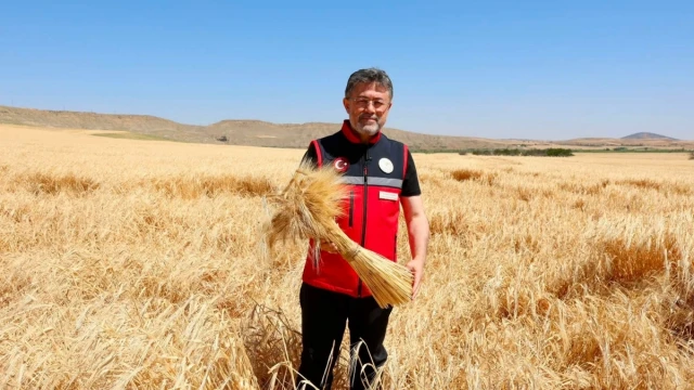 Yumaklı: TMO üreticilere 170 milyar TL ödeme yaptı