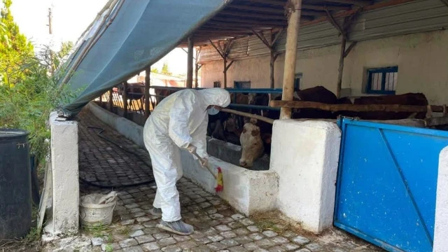 Yüzbaşılar’da yetiştiricilere dezenfeksiyon eğitimi verildi