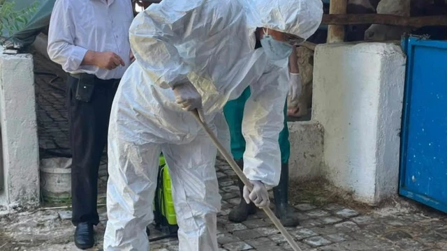 Yüzbaşılar’da yetiştiricilere dezenfeksiyon eğitimi verildi — Fotoğraf 1