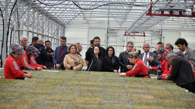 ABB’den Belediyelere Kırsal Kalkınma İçin Saha Deneyimi