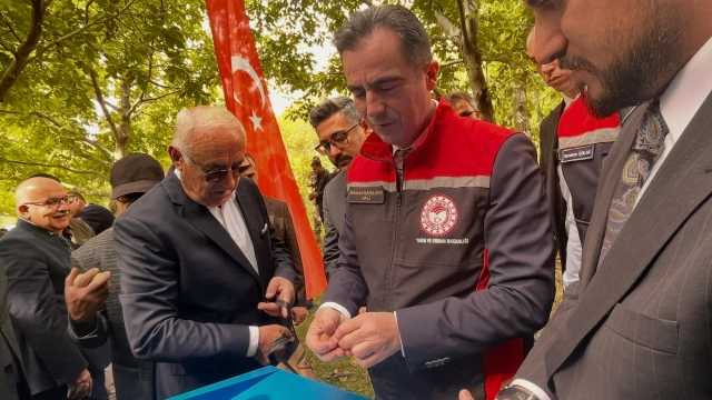 Adilcevaz Cevizinde Hasat Mesaisi Başladı — Fotoğraf 1