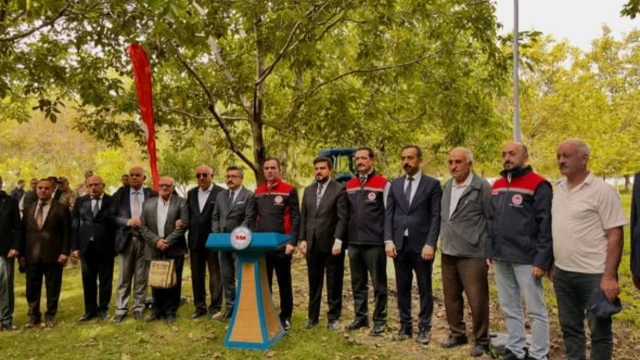 Adilcevaz Cevizinde Hasat Mesaisi Başladı — Fotoğraf 7