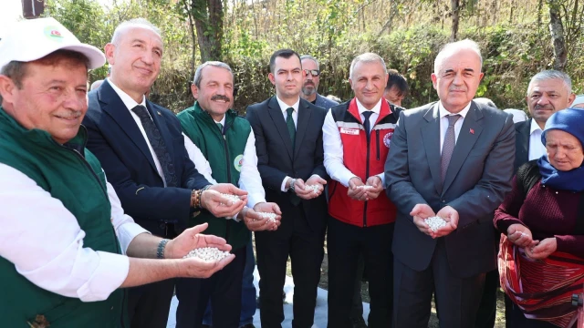 Akkuş Şeker Fasulyesi üretimi 2 bin 200 tona ulaştı — Fotoğraf 4