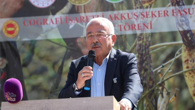 Akkuş Şeker Fasulyesi üretimi 2 bin 200 tona ulaştı — Fotoğraf 13