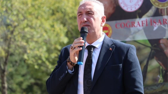 Akkuş Şeker Fasulyesi üretimi 2 bin 200 tona ulaştı — Fotoğraf 14