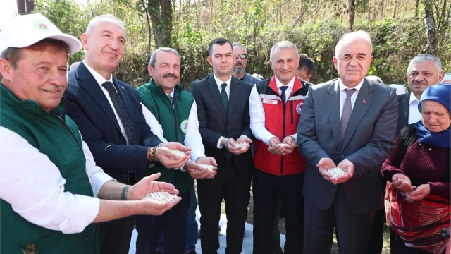 Akkuş Şeker Fasulyesi üretimi 2 bin 200 tona ulaştı — Fotoğraf 15