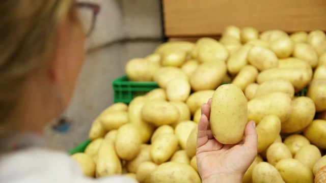 Almanya’da patatesleri yapay zekâ sınıflandıracak