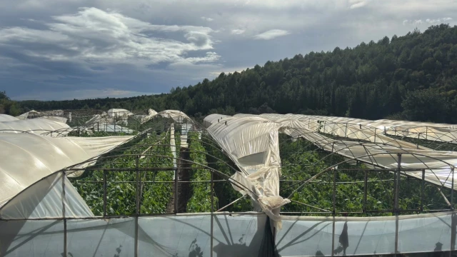 Antalya’da sağanak ve dolu tarım alanlarına zarar verdi — Fotoğraf 3