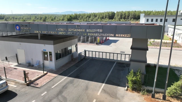 Antalya’da Sokak Hayvanlarına 84 Bin Metrekarelik Merkez — Fotoğraf 3