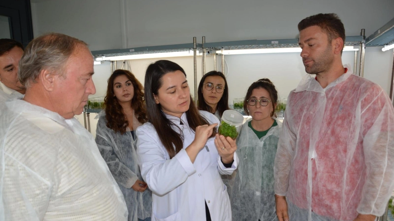 BAÇEM’de 45 kişiye bitki doku kültürü eğitimi verildi