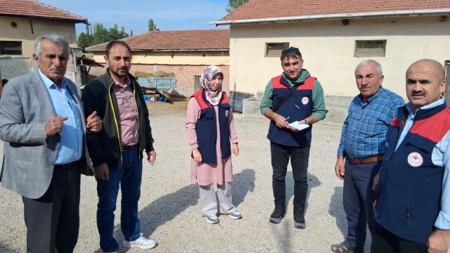Çankırı İl Tarım, Ayçiçeği Üretimi İçin Çorum’da İnceleme Yaptı — Fotoğraf 3