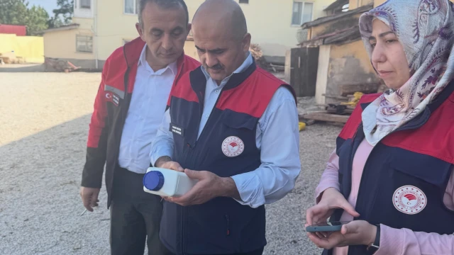 Çankırı İl Tarım, Ayçiçeği Üretimi İçin Çorum’da İnceleme Yaptı — Fotoğraf 8