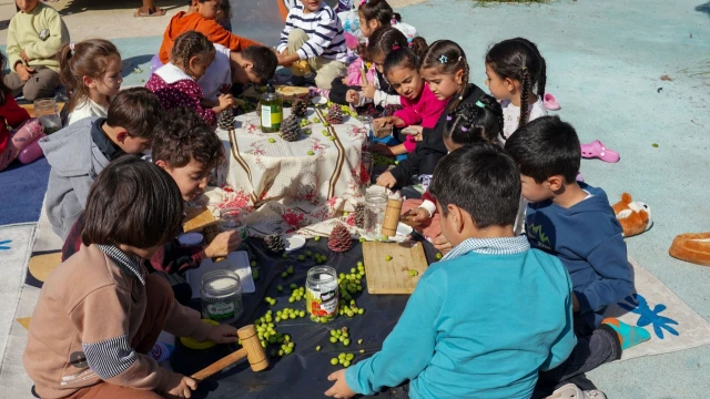 Diyarbakır’da kreş çocukları zeytin kırma etkinliğine katıldı — Fotoğraf 3