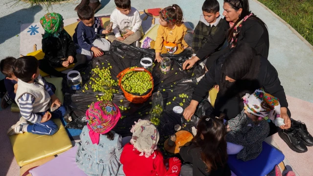 Diyarbakır’da kreş çocukları zeytin kırma etkinliğine katıldı — Fotoğraf 4