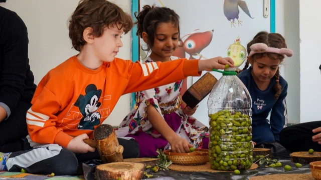 Diyarbakır’da kreş çocukları zeytin kırma etkinliğine katıldı — Fotoğraf 10