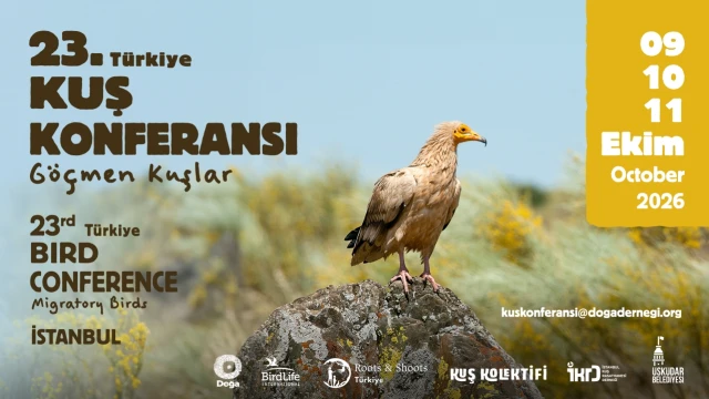 Doğa Derneği: Her 9 göçmen kuş türünden 1’i tehlikede — Fotoğraf 1