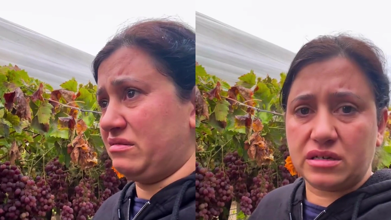 “Ekim bitti, Kasım geliyor… Üzümler kaldı”